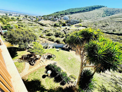 C And C Hotel Vibes Cpt Plattekloof Plattekloof 3 Cape Town Western Cape South Africa Palm Tree, Plant, Nature, Wood, Garden