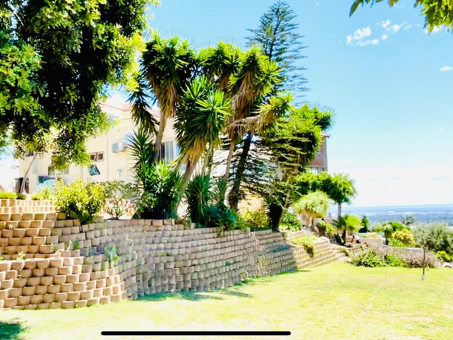 C And C Hotel Vibes Cpt Plattekloof Plattekloof 3 Cape Town Western Cape South Africa Complementary Colors, Beach, Nature, Sand, Palm Tree, Plant, Wood, Garden