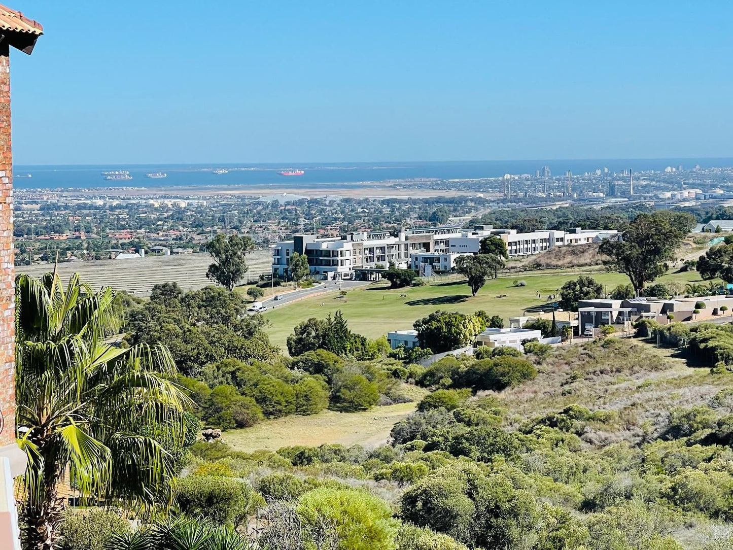 C And C Hotel Vibes Cpt Plattekloof Plattekloof 3 Cape Town Western Cape South Africa Complementary Colors, Palm Tree, Plant, Nature, Wood, Aerial Photography