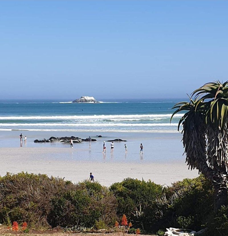 C Est La Vie That S Life Yzerfontein Western Cape South Africa Beach, Nature, Sand, Palm Tree, Plant, Wood, Ocean, Waters