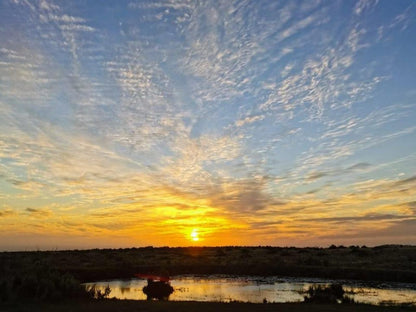 Cadeau Hking And Accommodation Pty Ltd Tsitsikamma Area Eastern Cape South Africa Sky, Nature, Lowland, Sunset