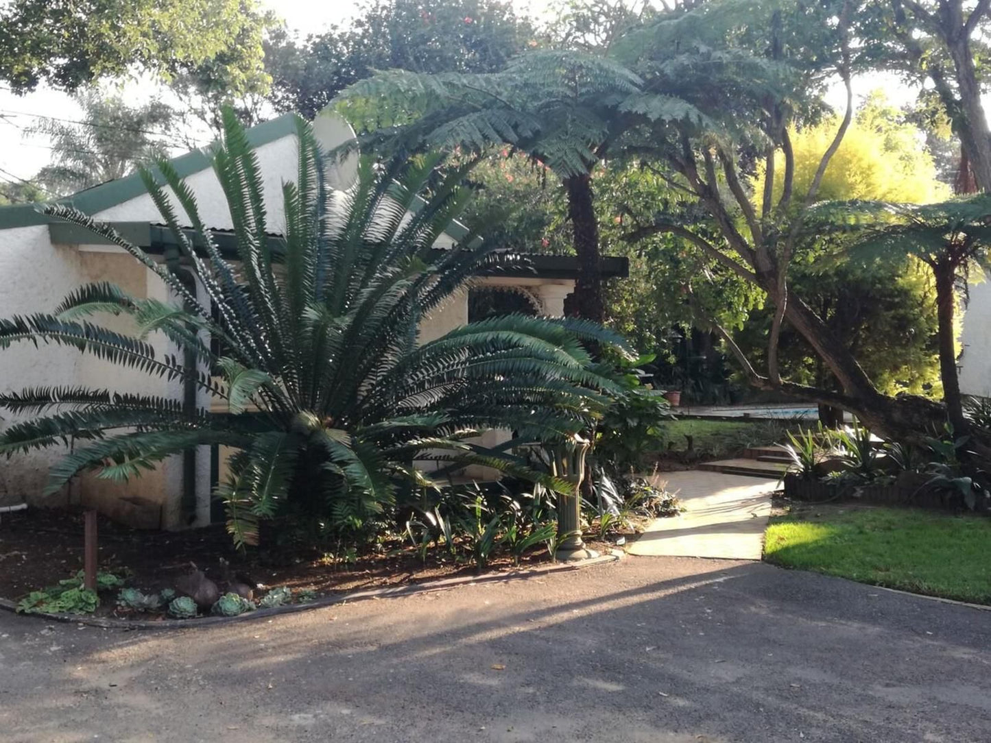 Cadle House Vryheid Kwazulu Natal South Africa Unsaturated, Palm Tree, Plant, Nature, Wood, Garden