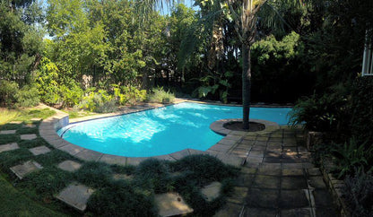 Ca Ira Wellness Retreat Arcadia Pretoria Tshwane Gauteng South Africa Palm Tree, Plant, Nature, Wood, Garden, Swimming Pool