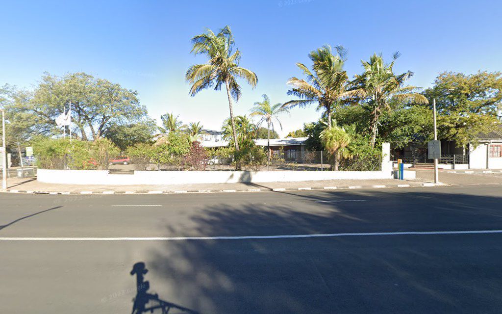 Cajori Hotel Phalaborwa Limpopo Province South Africa Complementary Colors, Palm Tree, Plant, Nature, Wood