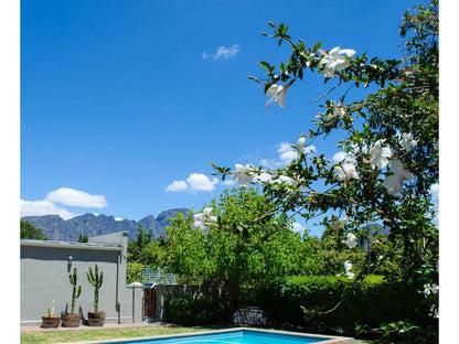 Calais Guest House Franschhoek Western Cape South Africa Swimming Pool