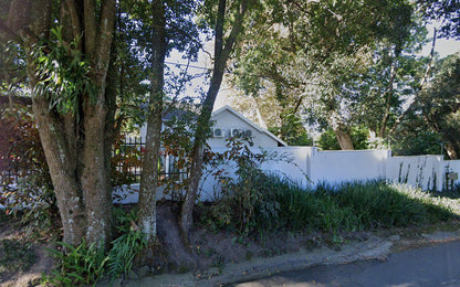 Calissa Lodge Westville Durban Kwazulu Natal South Africa House, Building, Architecture, Tree, Plant, Nature, Wood