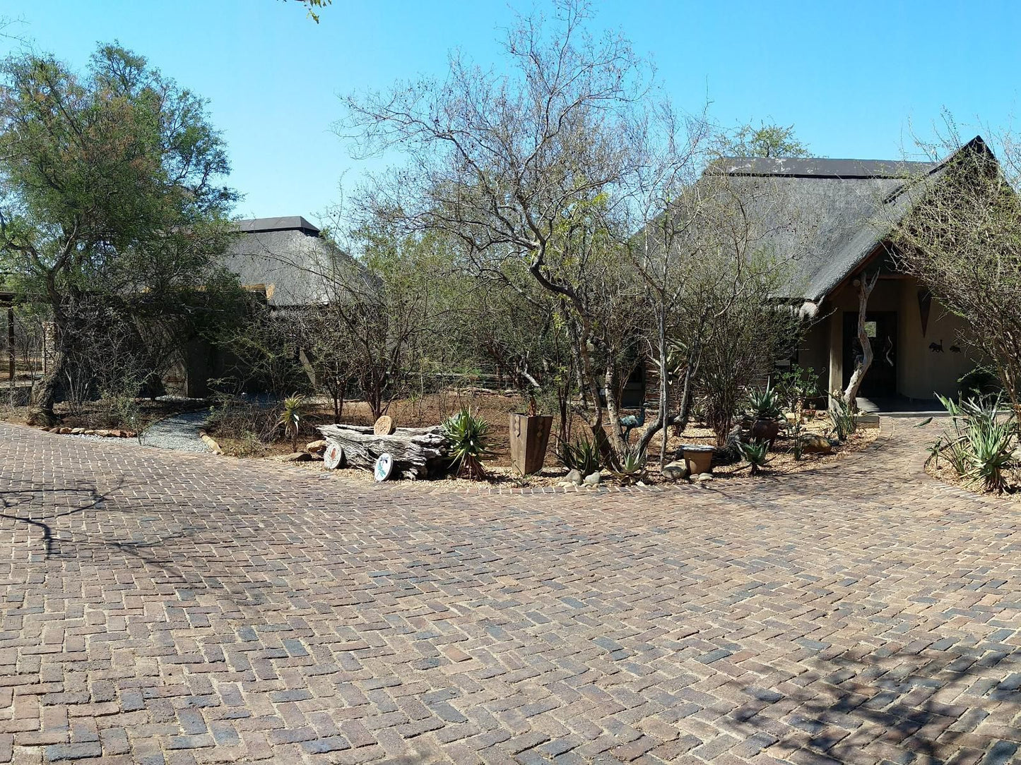 Call Of The Wild Lodge Hoedspruit Limpopo Province South Africa 