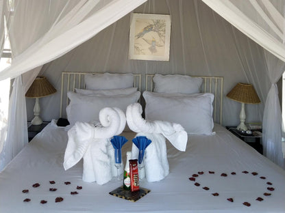 Call Of The Wild Lodge Hoedspruit Limpopo Province South Africa Unsaturated, Tent, Architecture, Bedroom