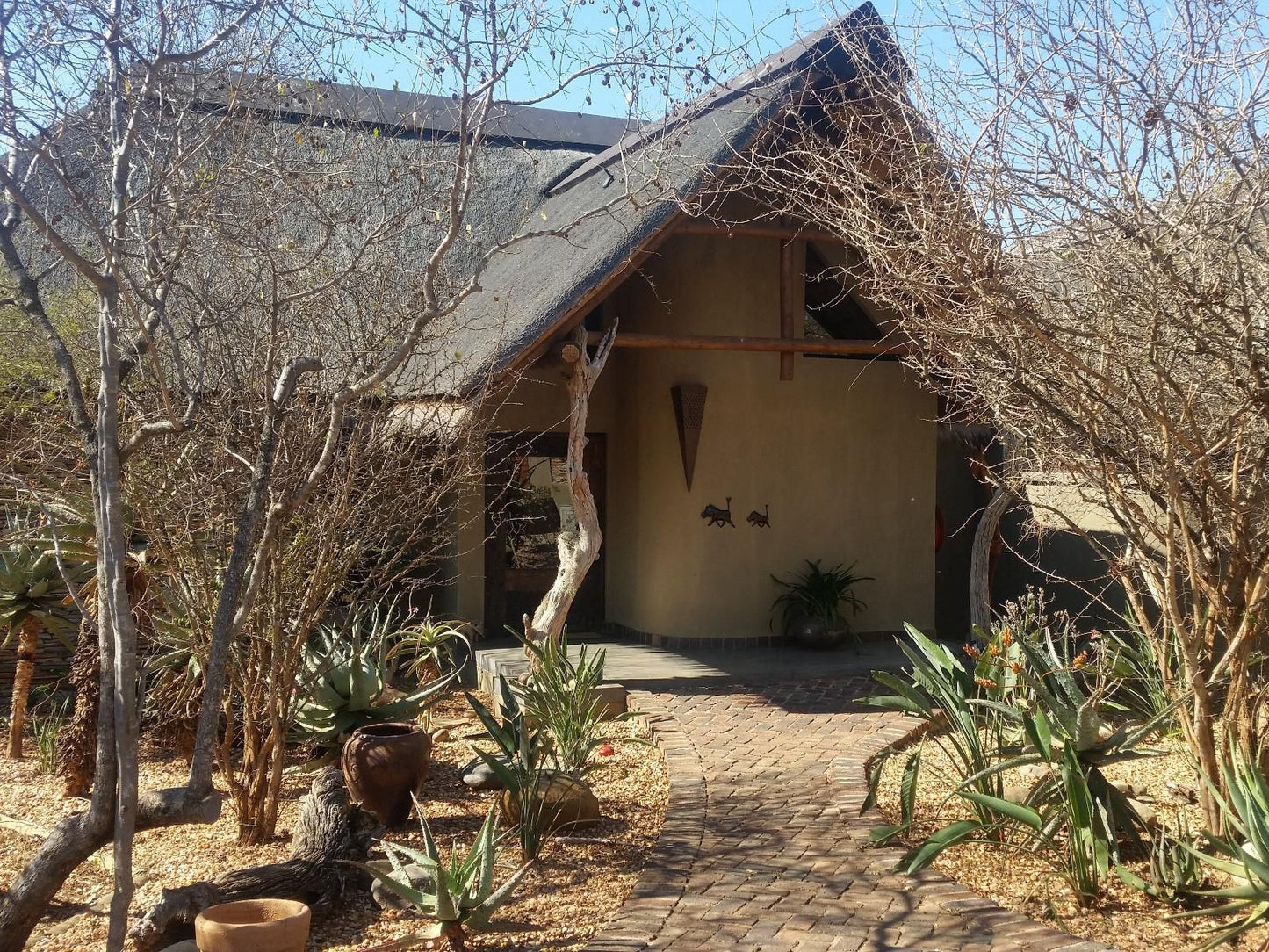 Call Of The Wild Lodge Hoedspruit Limpopo Province South Africa 