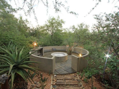 Call Of The Wild Lodge Hoedspruit Limpopo Province South Africa Cactus, Plant, Nature, Candle, Garden, Swimming Pool