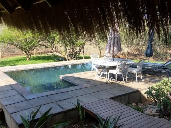 Call Of The Wild Lodge Hoedspruit Limpopo Province South Africa Plant, Nature, Garden, Living Room, Swimming Pool