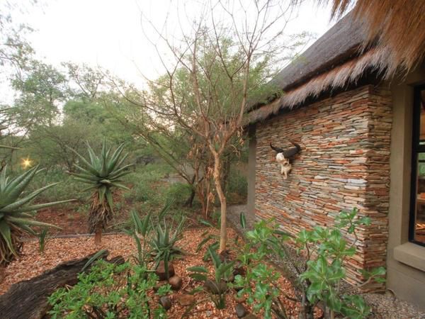 Call Of The Wild Lodge Hoedspruit Limpopo Province South Africa Cactus, Plant, Nature, Ruin, Architecture, Wall, Garden