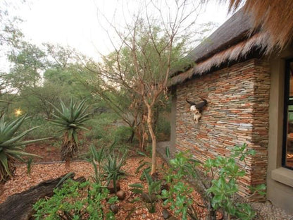 Call Of The Wild Lodge Hoedspruit Limpopo Province South Africa Cactus, Plant, Nature, Ruin, Architecture, Wall, Garden