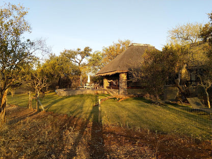 Call Of The Wild Lodge Hoedspruit Limpopo Province South Africa Complementary Colors, Colorful