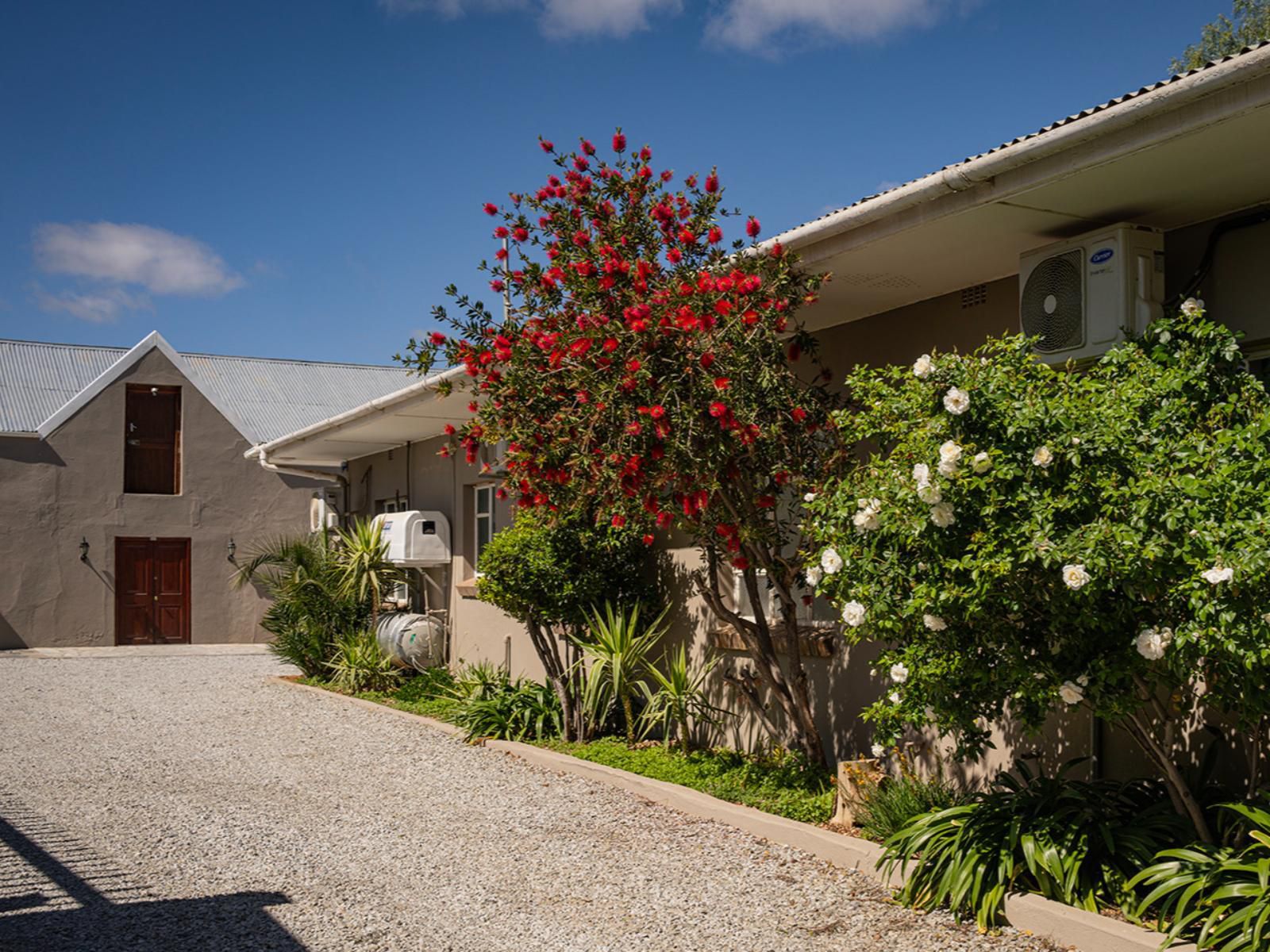 Calvinia Hotel By Country Hotels, House, Building, Architecture, Palm Tree, Plant, Nature, Wood