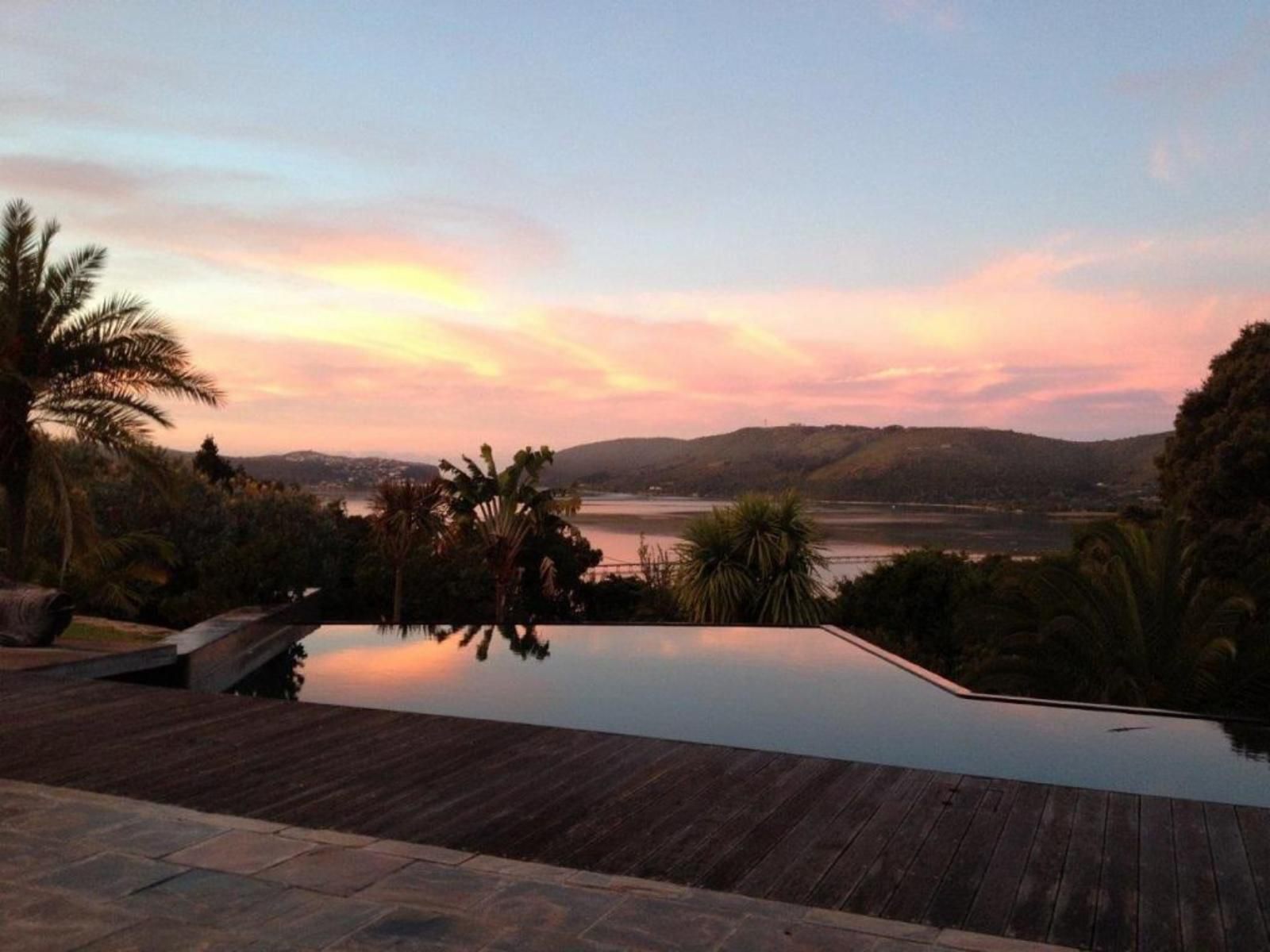 Cambalala Guest House Paradise Knysna Western Cape South Africa Palm Tree, Plant, Nature, Wood, Sky, Sunset