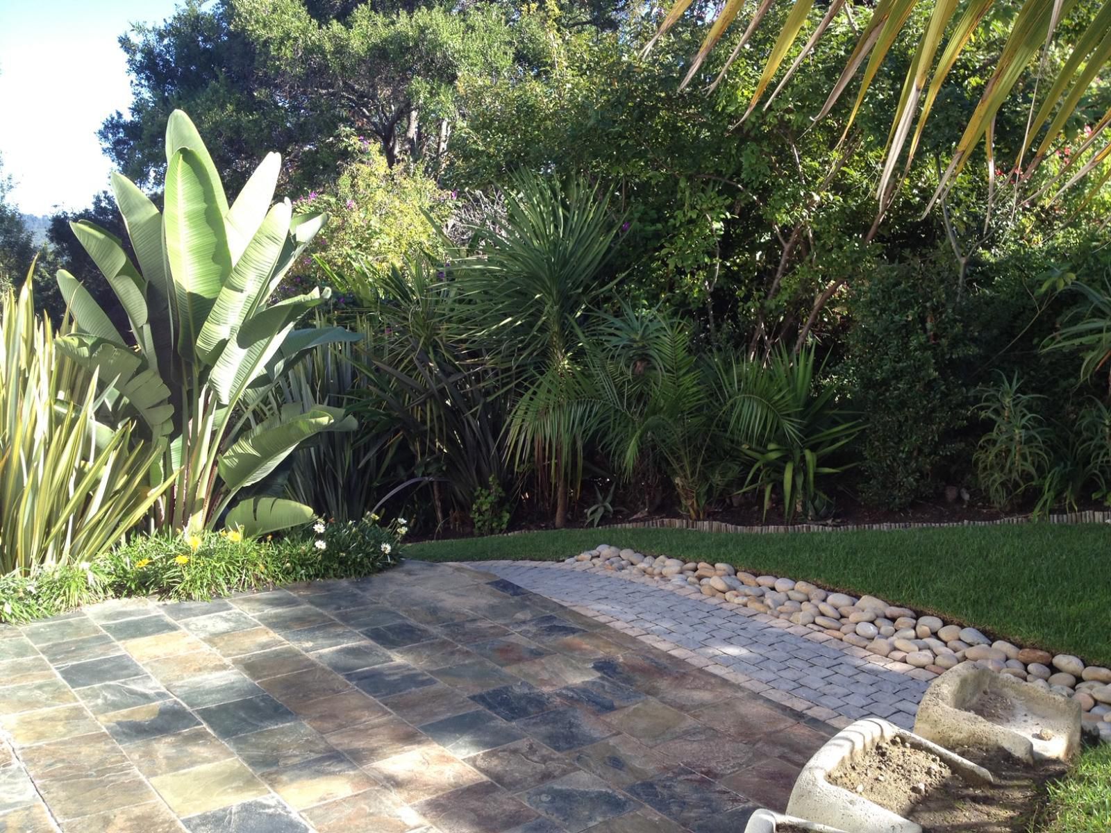 Cambalala Guest House Paradise Knysna Western Cape South Africa Palm Tree, Plant, Nature, Wood, Garden