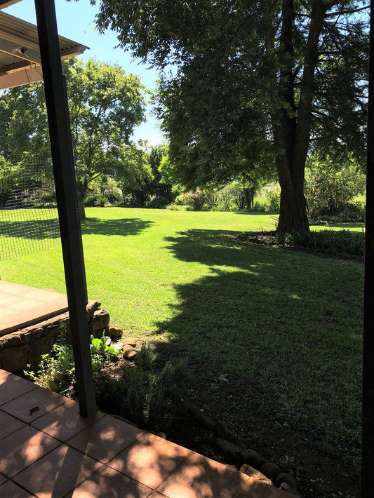 Plant, Nature, Garden, Camdeboo Lodge, Hilton, Pietermaritzburg