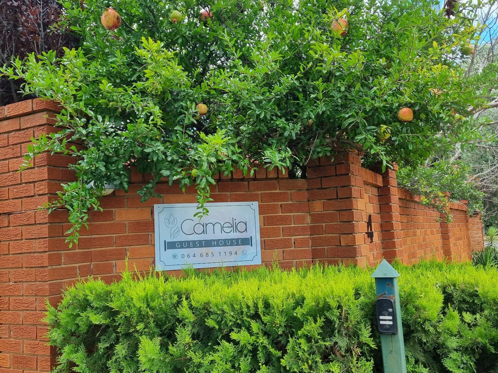 Camelia Guest House Universitas Bloemfontein Free State South Africa 