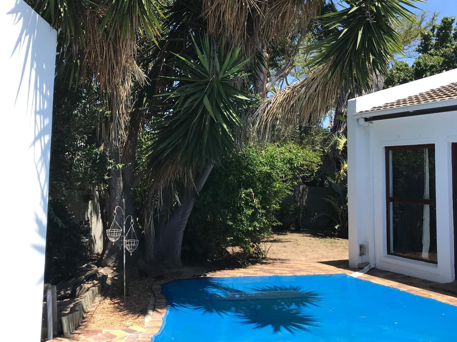 Camelot On Bridekirk Edgemead Cape Town Western Cape South Africa House, Building, Architecture, Palm Tree, Plant, Nature, Wood, Swimming Pool