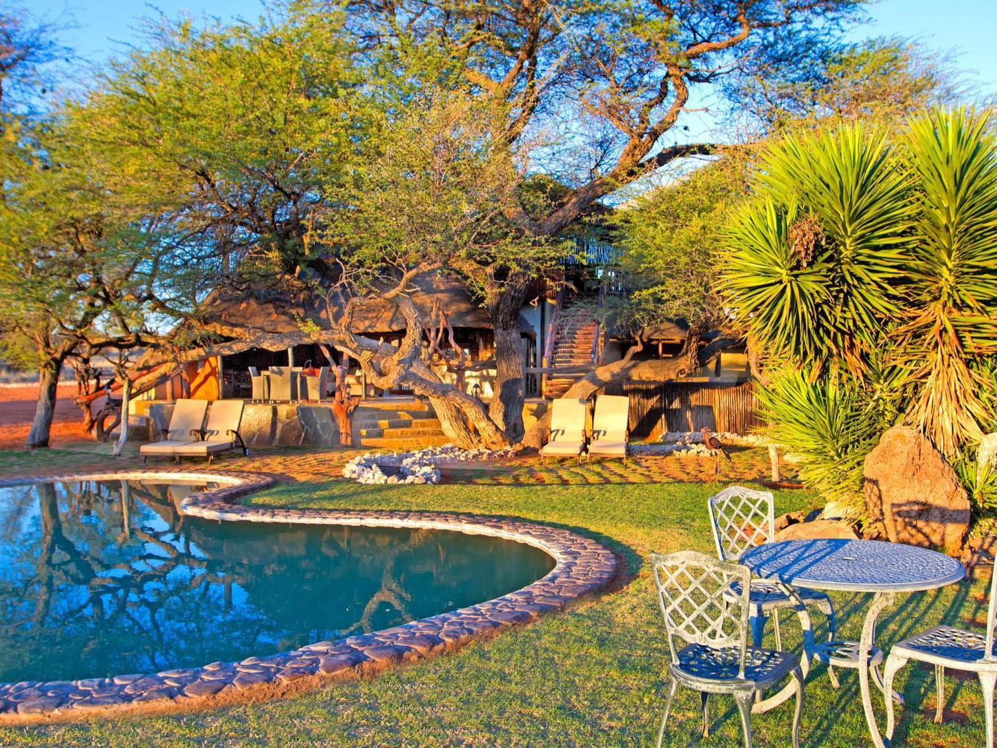 Camelthorn Kalahari Lodge, Swimming Pool