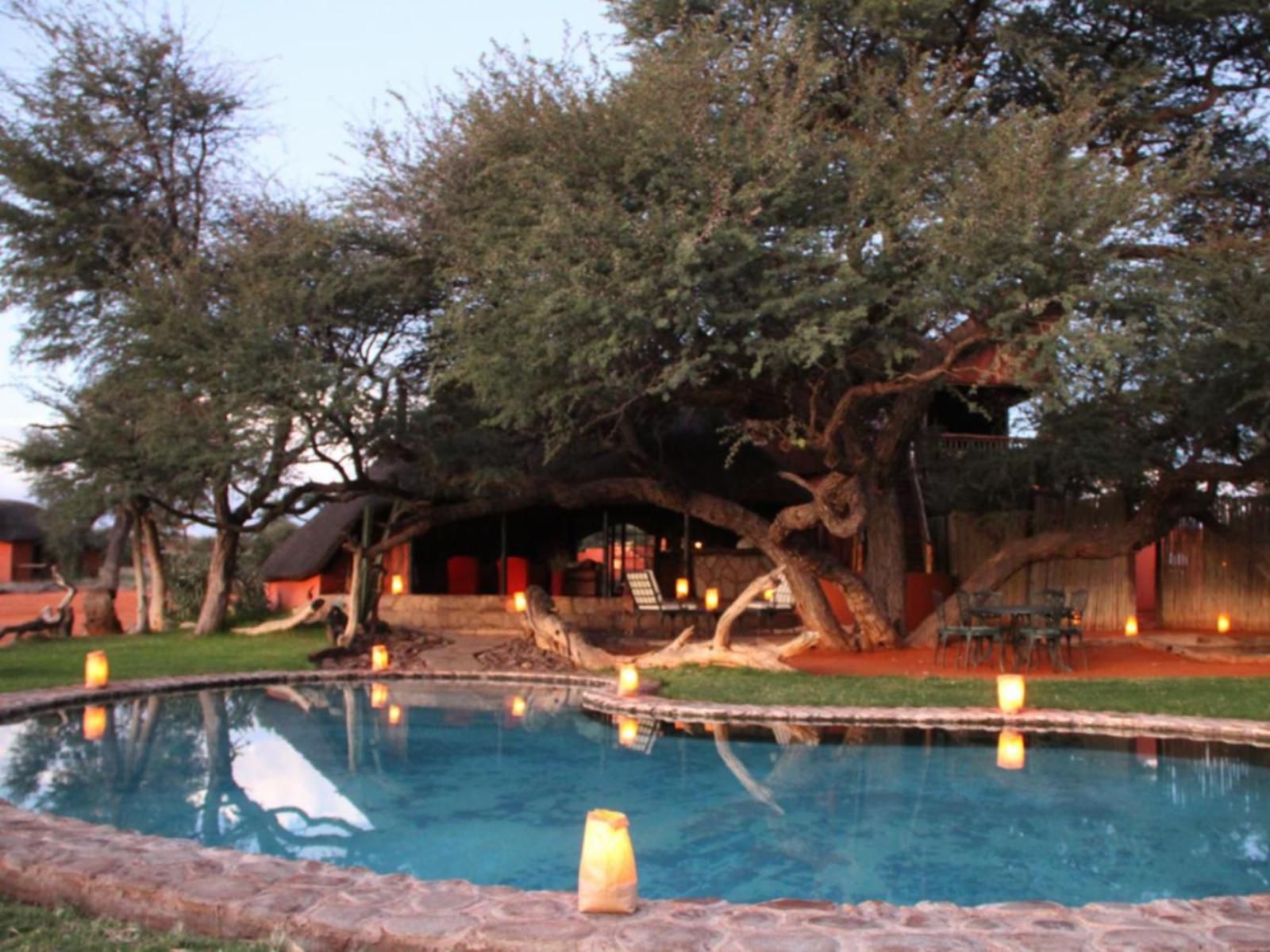 Camelthorn Kalahari Lodge, Swimming Pool