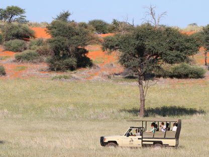 Camelthorn Kalahari Lodge, Field, Nature, Agriculture, Lowland