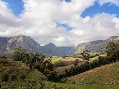 Camissa Farm Kylemore Stellenbosch Western Cape South Africa Mountain, Nature, Highland