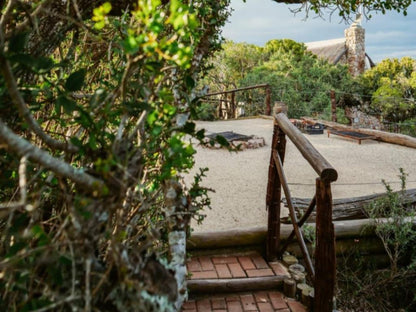 Camp Acacia Sidbury Paterson Eastern Cape South Africa Framing, Garden, Nature, Plant