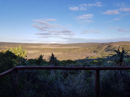 Camp Acacia Sidbury Paterson Eastern Cape South Africa Nature