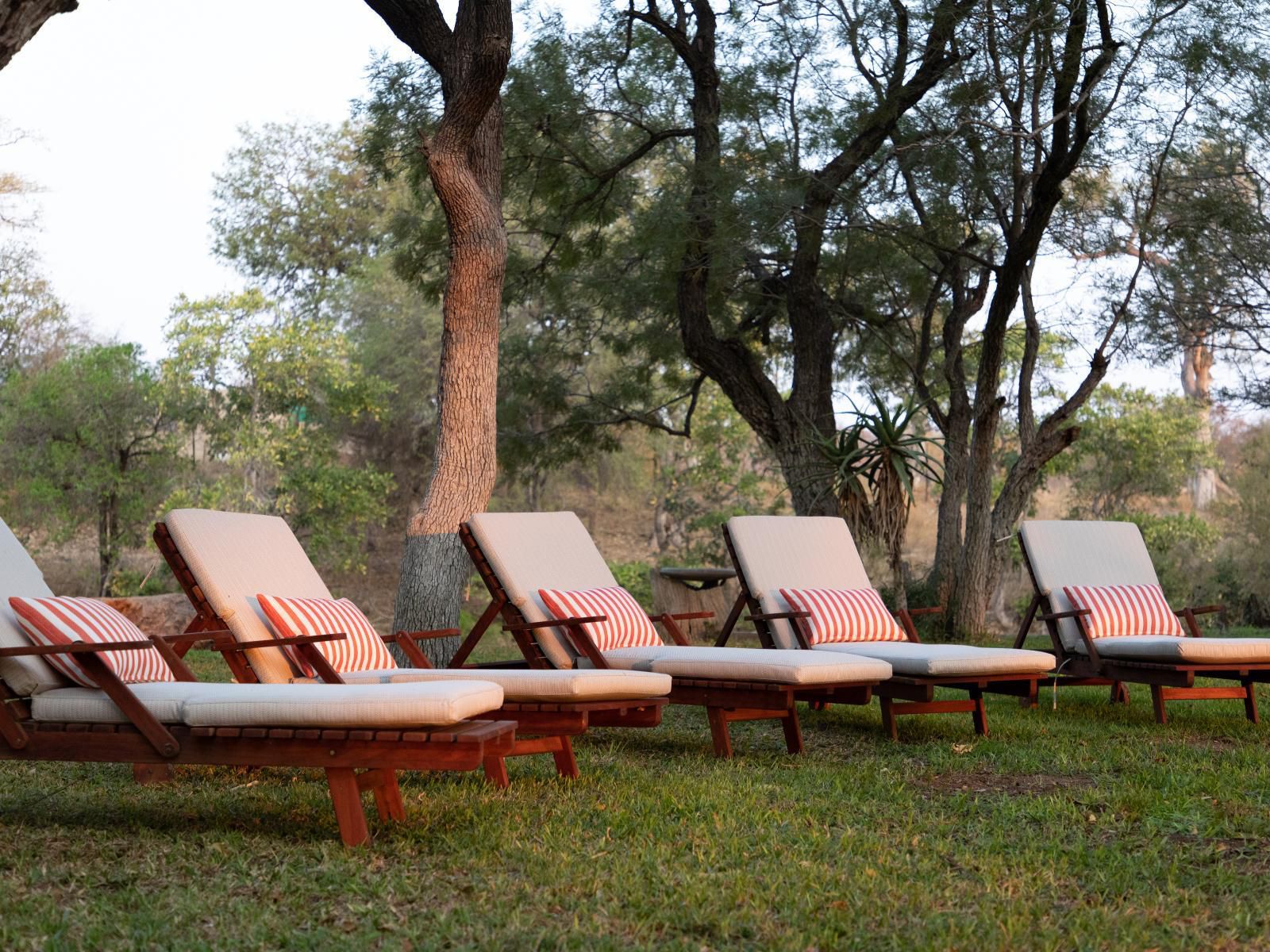 Simbavati Camp George Klaserie Private Nature Reserve Mpumalanga South Africa 