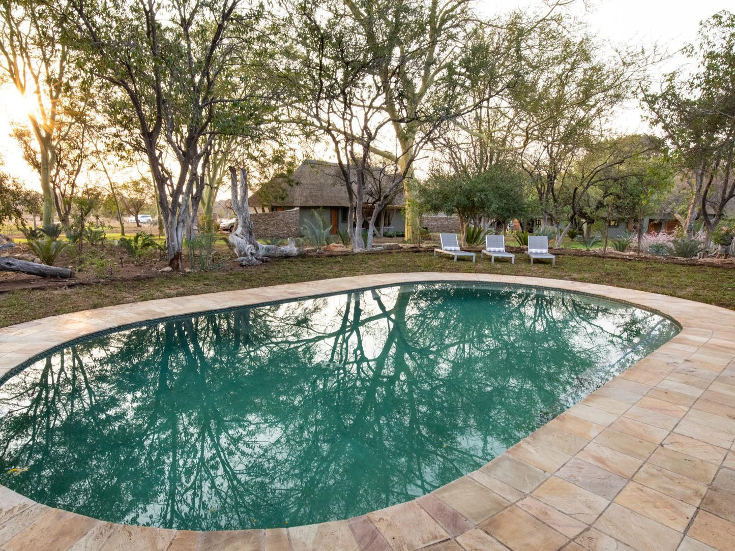 Simbavati Camp George Klaserie Private Nature Reserve Mpumalanga South Africa Garden, Nature, Plant, Swimming Pool