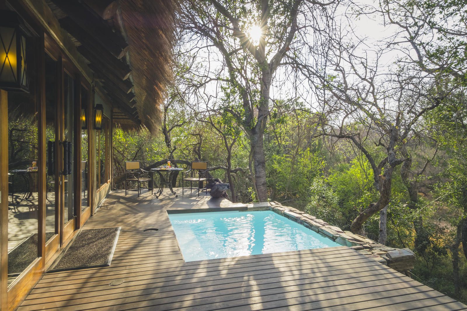 Jabulani Safari Kapama Reserve Mpumalanga South Africa Swimming Pool