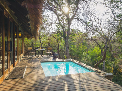 Jabulani Safari Kapama Reserve Mpumalanga South Africa Swimming Pool