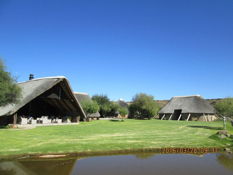 Camp Nguni Victoria West Northern Cape South Africa 1 Complementary Colors