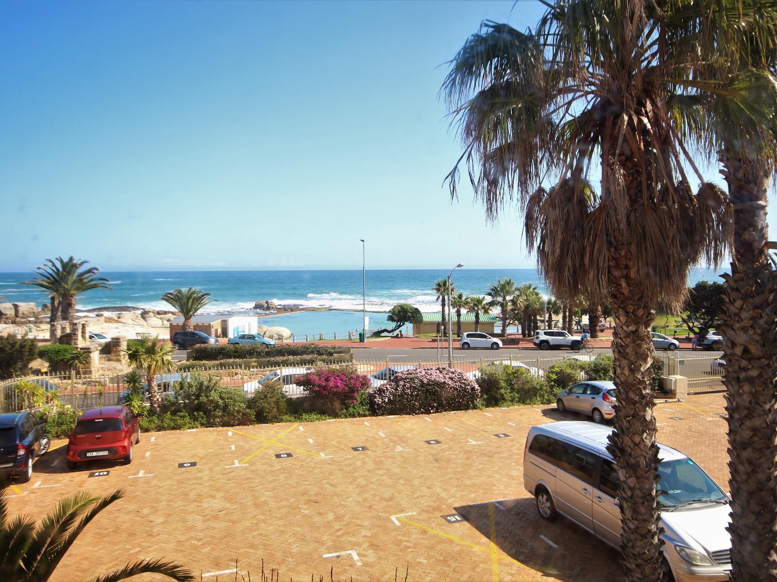 Camps Bay Village Camps Bay Cape Town Western Cape South Africa Complementary Colors, Beach, Nature, Sand, Palm Tree, Plant, Wood