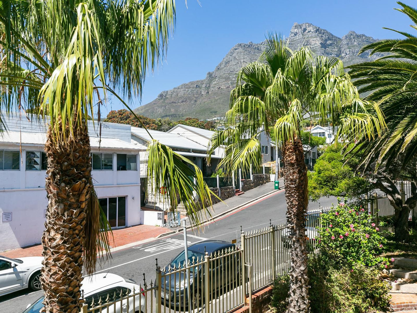 Camps Bay Village Camps Bay Cape Town Western Cape South Africa House, Building, Architecture, Palm Tree, Plant, Nature, Wood