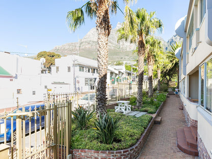 Camps Bay Village Camps Bay Cape Town Western Cape South Africa Complementary Colors, House, Building, Architecture, Palm Tree, Plant, Nature, Wood