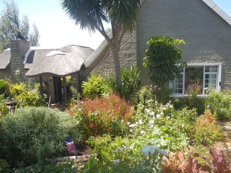 Camu Camu Bed And Breakfast Aurora Durbanville Cape Town Western Cape South Africa House, Building, Architecture, Plant, Nature, Garden