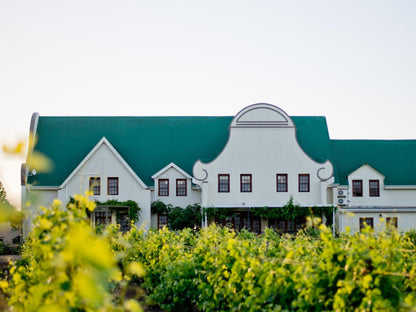 Cana Vineyard Guesthouse Paarl Western Cape South Africa Building, Architecture, House