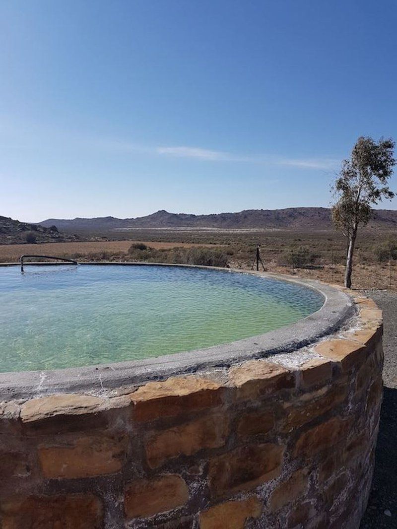 Canariesfontein Guest Farm Carnarvon Northern Cape South Africa Cactus, Plant, Nature, Desert, Sand, Swimming Pool