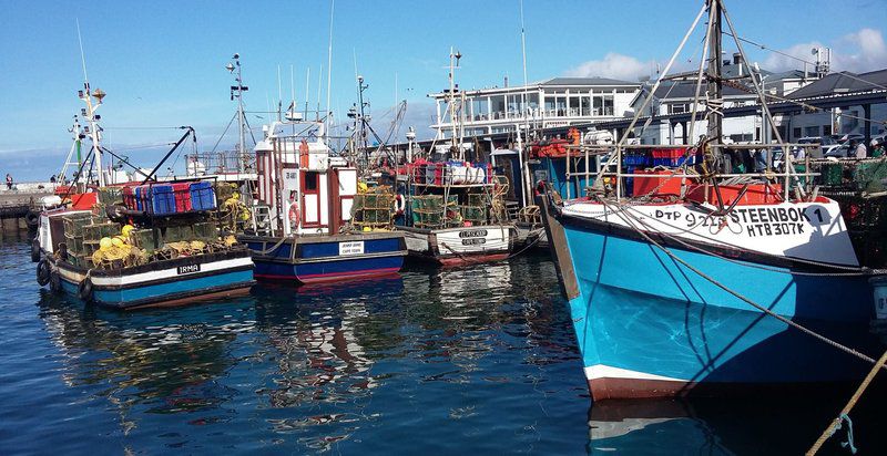 Canary Corner Kommetjie Cape Town Western Cape South Africa Boat, Vehicle, Beach, Nature, Sand, Harbor, Waters, City, Ship, Architecture, Building, Ocean