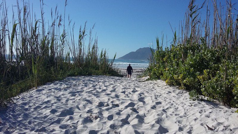 Canary Corner Kommetjie Cape Town Western Cape South Africa Beach, Nature, Sand, Palm Tree, Plant, Wood