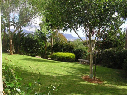 Candy Lee Accommodation Somerset West Spanish Farm Somerset West Western Cape South Africa Palm Tree, Plant, Nature, Wood, Garden