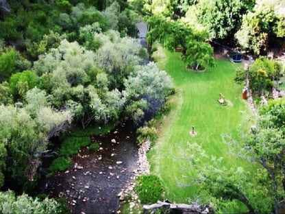 Cango Retreat Guest Farm Oudtshoorn Western Cape South Africa River, Nature, Waters, Tree, Plant, Wood, Garden