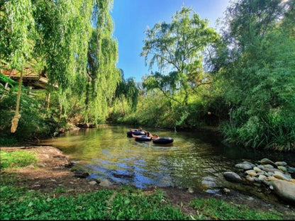 Cango Retreat Guest Farm Oudtshoorn Western Cape South Africa Boat, Vehicle, Canoe, River, Nature, Waters, Tree, Plant, Wood