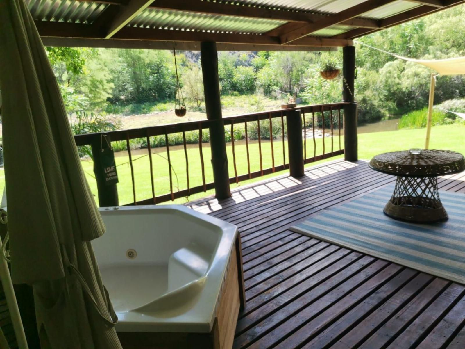 Cango Retreat Guest Farm Oudtshoorn Western Cape South Africa Garden, Nature, Plant, Swimming Pool