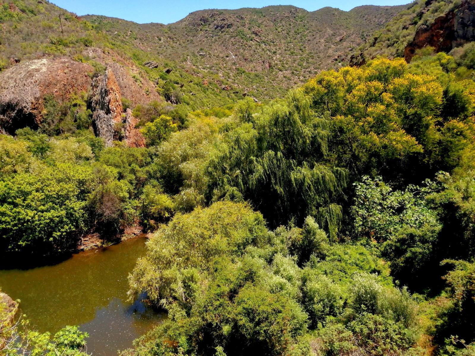 Cango Retreat Guest Farm Oudtshoorn Western Cape South Africa Plant, Nature, River, Waters