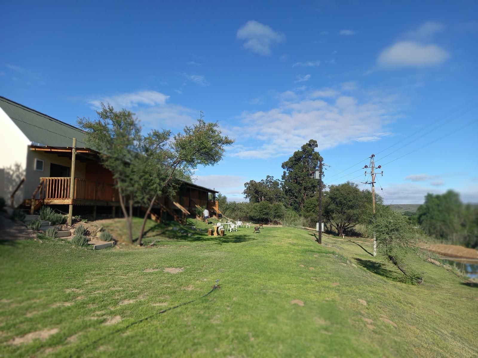 Cango S Rest Oudtshoorn Western Cape South Africa Complementary Colors