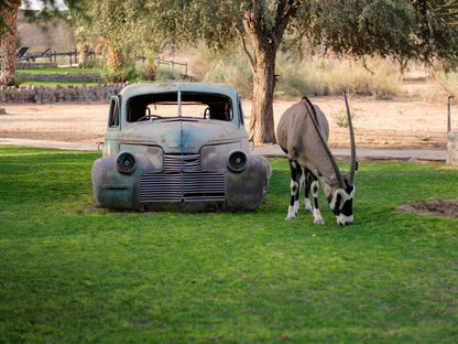 Canyon Roadhouse, Gondwana Collection Namibia